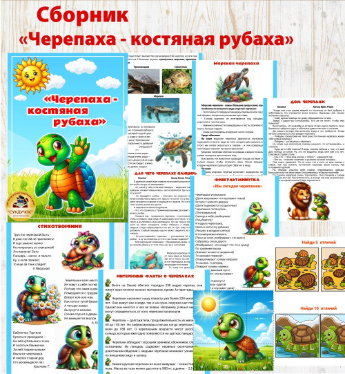 Сборник "Черепаха - костяная рубаха"